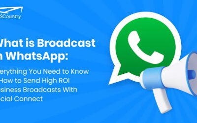 What is Broadcast in WhatsApp:  Everything You Need to Know + How to Send High ROI Business Broadcasts With Social Connect
